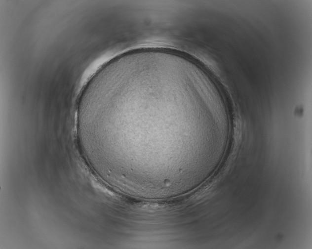 X0000116491366200912231142