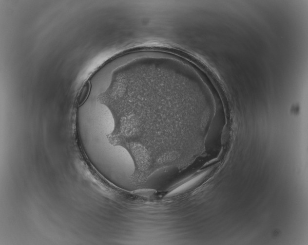 X0000116491367200912231142