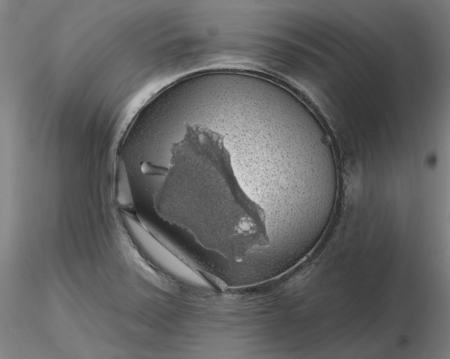 X0000116491371200912231142
