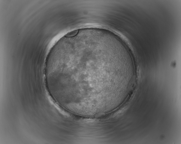 X0000116491373200912231142
