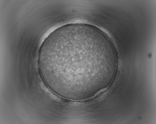 X0000116491374200912231142