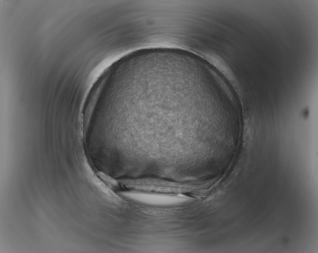 X0000116491380200912231142