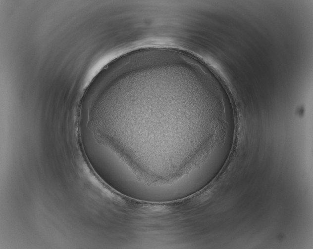 X0000116491382200912231142