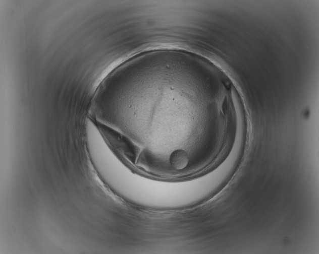 X0000116491385200912231142