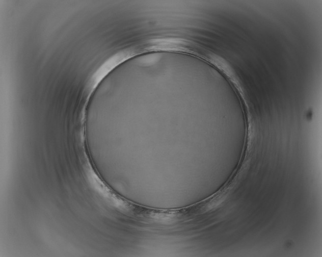 X0000116491386200912231142