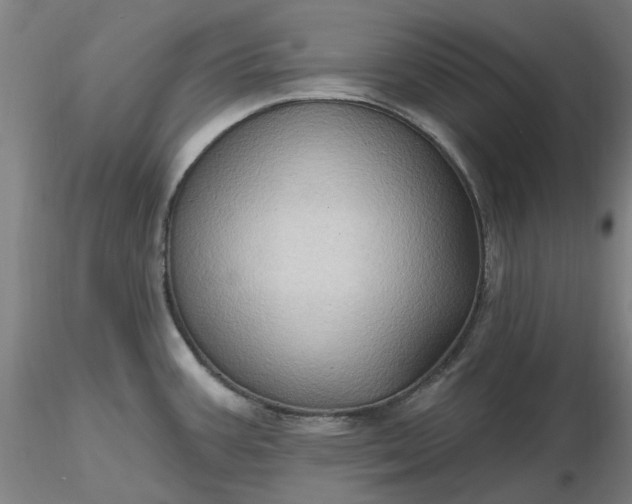 X0000116491387200912231142