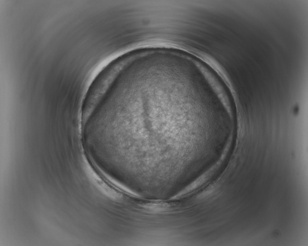 X0000116491388200912231142