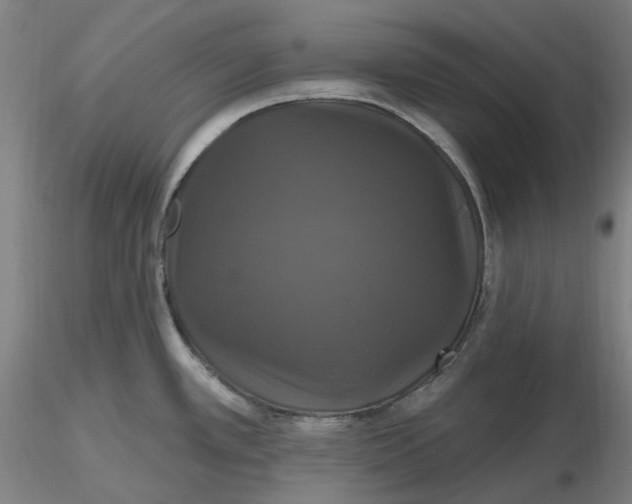 X0000116491389200912231142