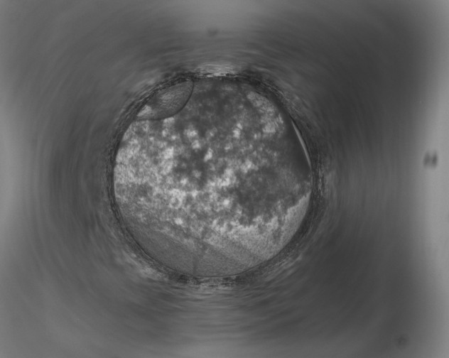 X0000116491393200912231141