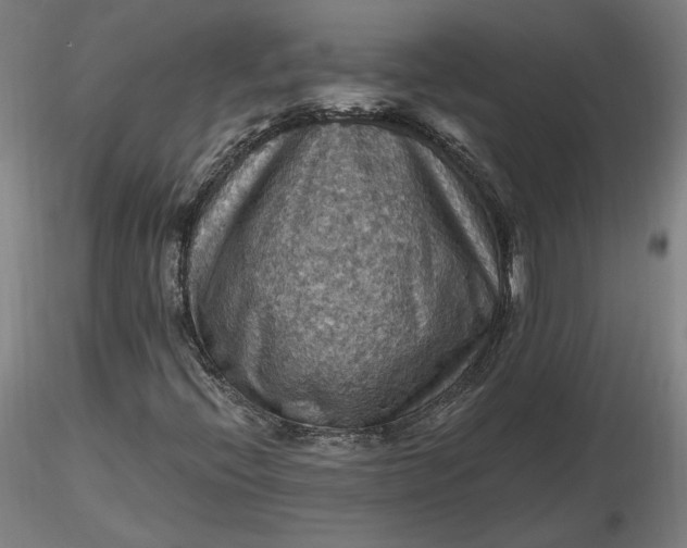 X0000116491396200912231142