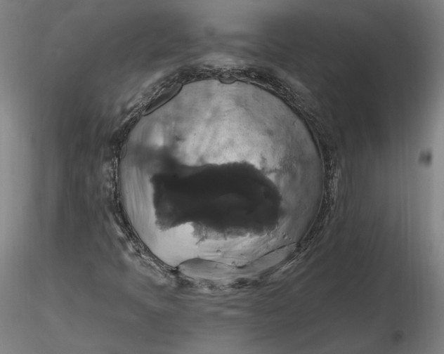 X0000116491397200912231142