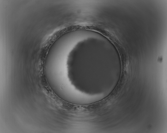 X0000116491398200912231142