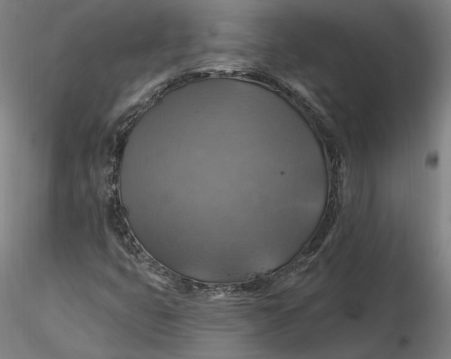 X0000116491399200912231142