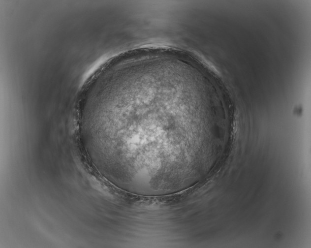 X0000116491400200912231142