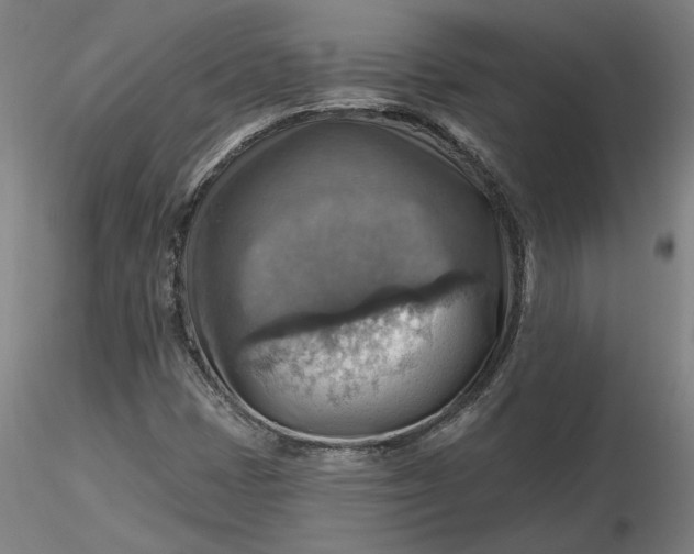 X0000116491401200912231142