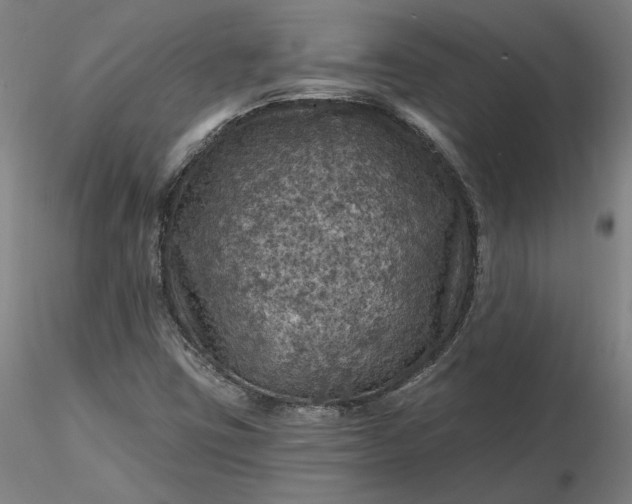 X0000116491403200912231142