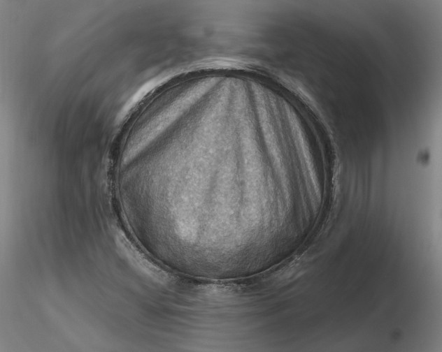 X0000116491404200912231142