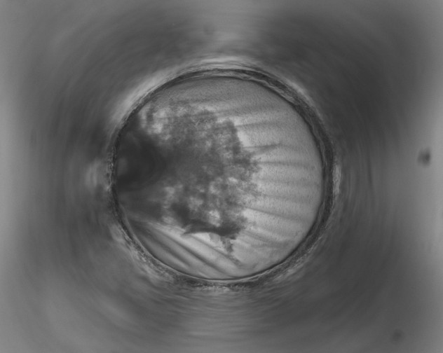 X0000116491405200912231142