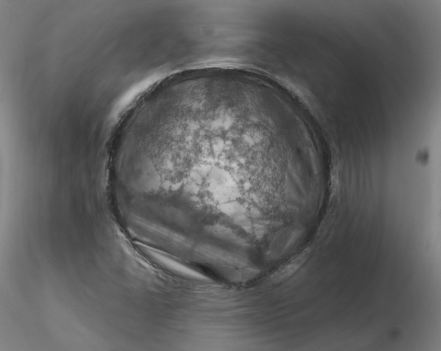 X0000116491406200912231142