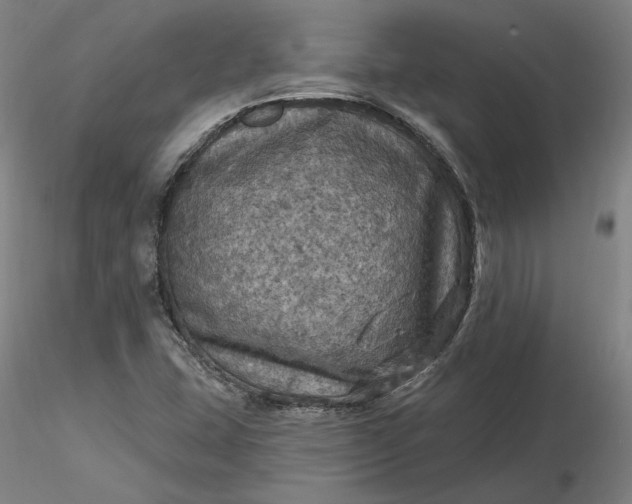 X0000116491407200912231142