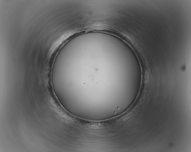 X0000116491410200912231142