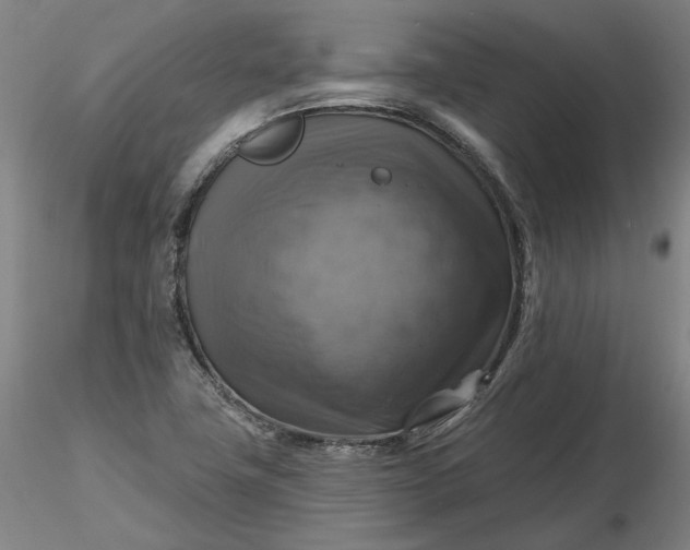 X0000116491411200912231142