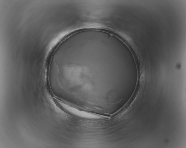 X0000116491414200912231142