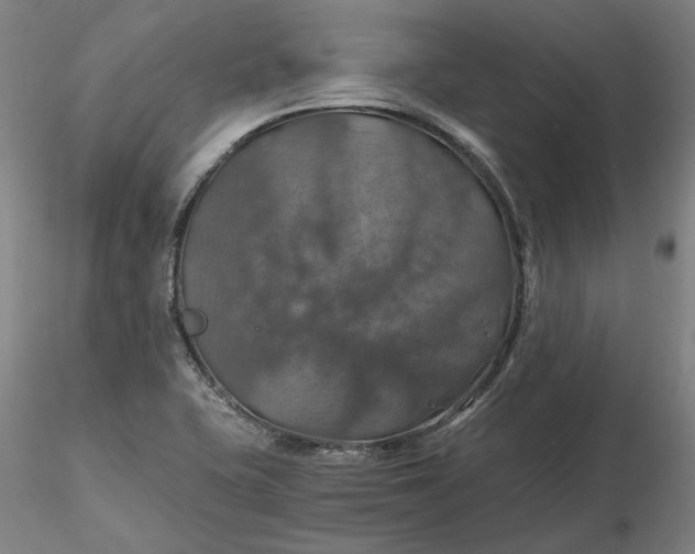 X0000116491415200912231142