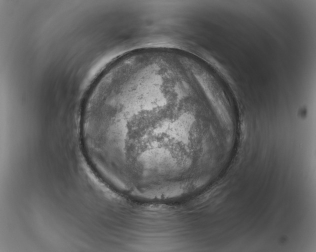 X0000116491416200912231142