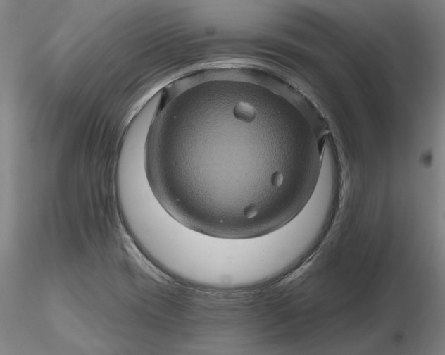 X0000116491417200912231142