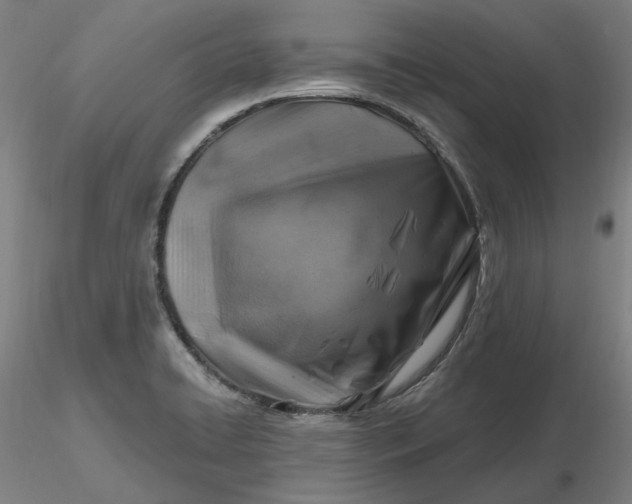 X0000116491422200912231142