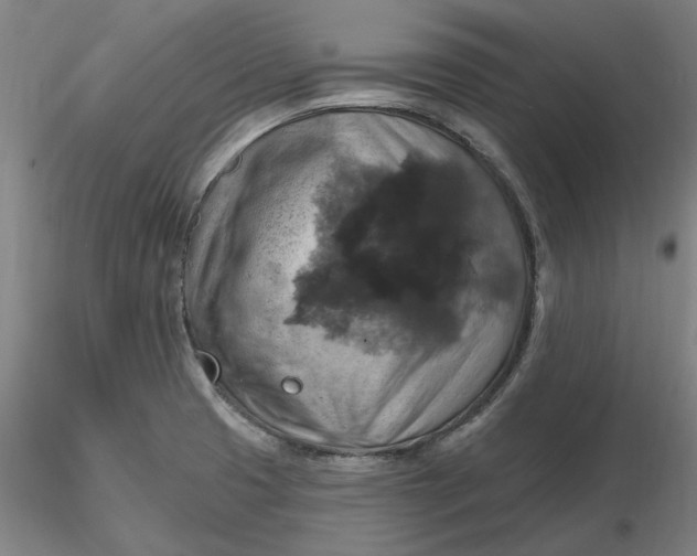 X0000116491425200912231142