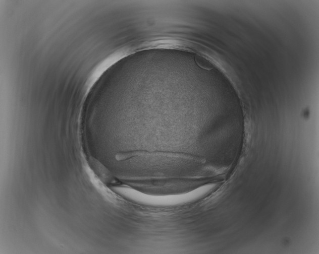 X0000116491426200912231142