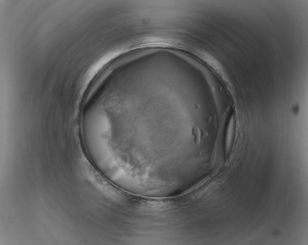 X0000116491427200912231142