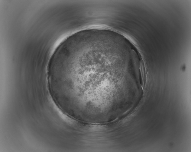 X0000116491430200912231142