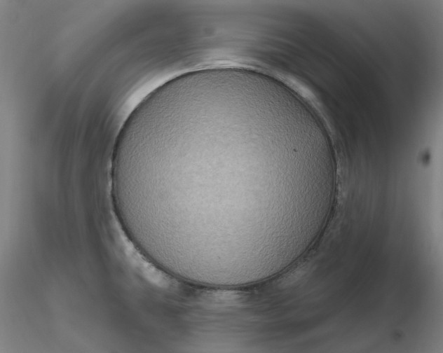 X0000116491431200912231142