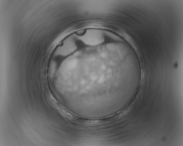 X0000116491435200912231142