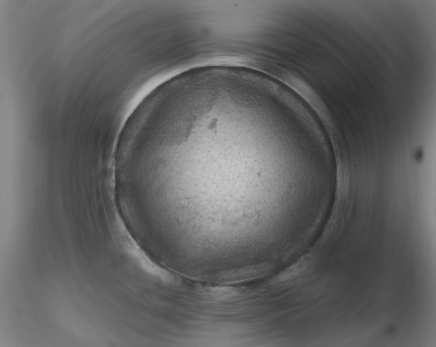 X0000116491436200912231142
