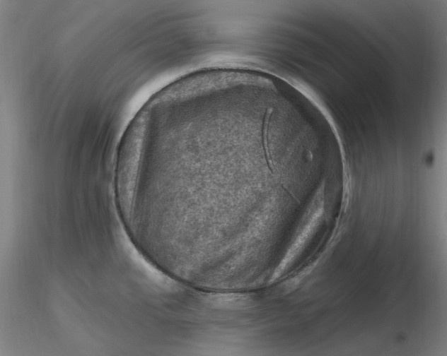X0000116491437200912231142