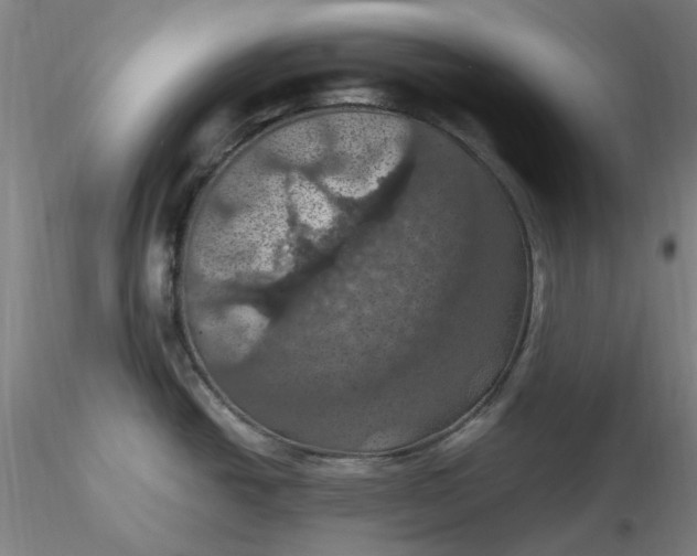 X0000116491438200912231142