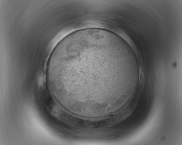 X0000116491439200912231142