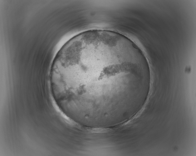 X0000116491440200912231142