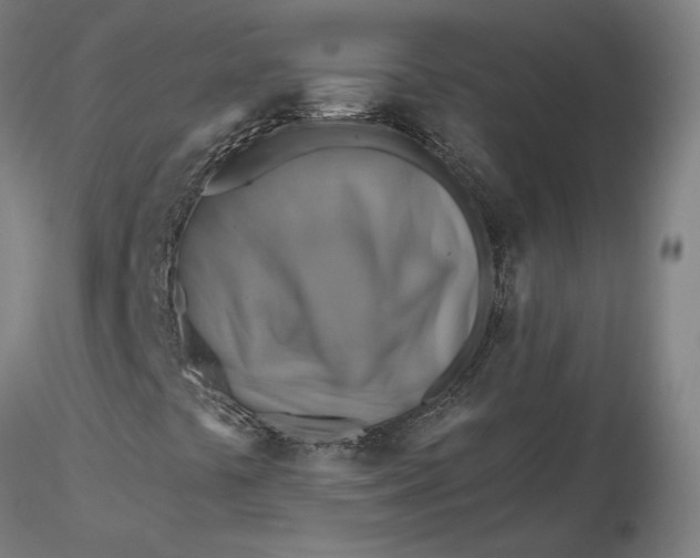 X0000116491441200912231141