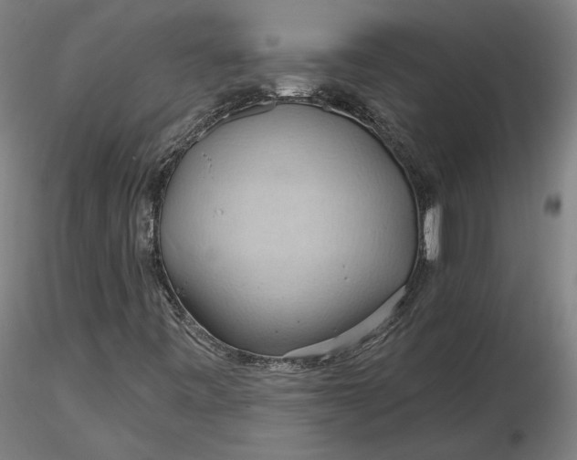 X0000116491443200912231141