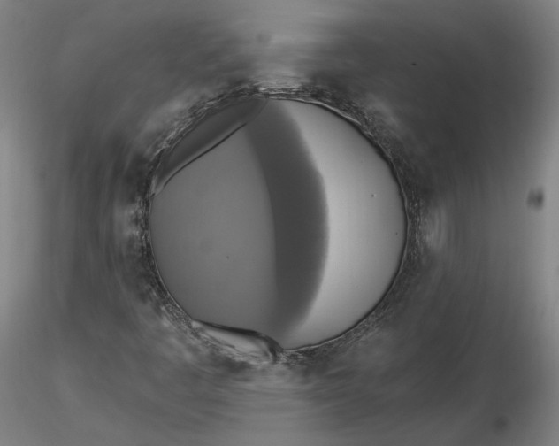 X0000116491445200912231141