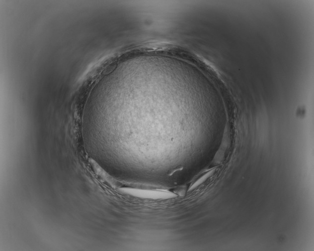 X0000116491447200912231141