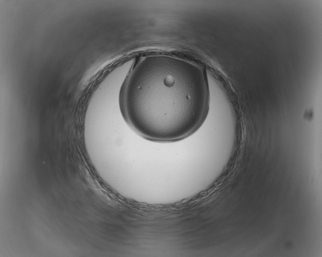 X0000116491448200912231141