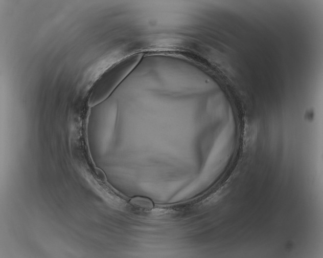 X0000116491449200912231141