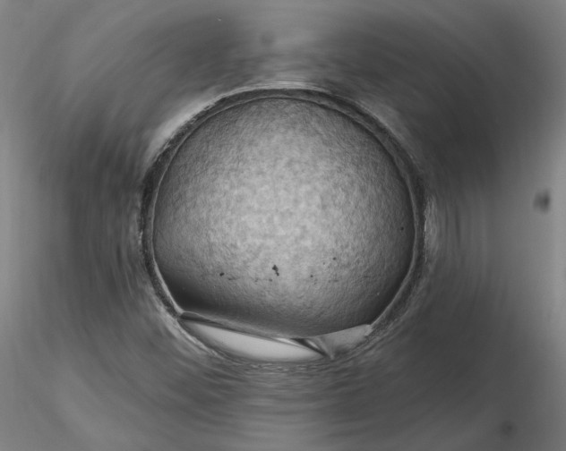 X0000116491452200912231141