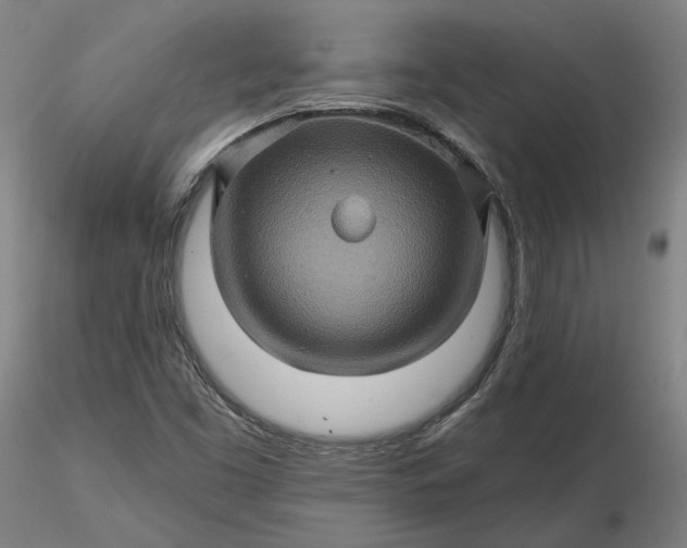 X0000116491453200912231141